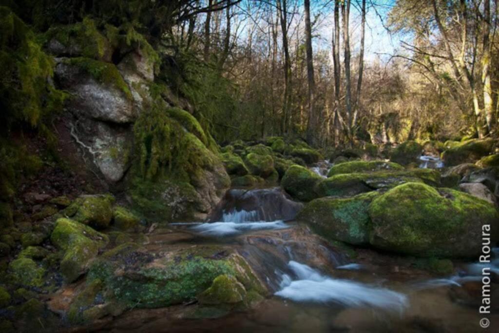 La Badenca. Masia Catalana Del S. XVII Riudaura Dış mekan fotoğraf