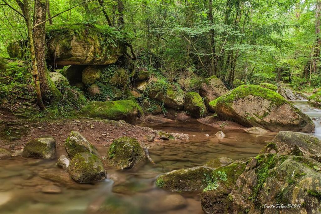La Badenca. Masia Catalana Del S. XVII Riudaura Dış mekan fotoğraf